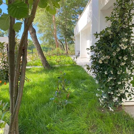 Villa Hanna Ulcinj Exteriér fotografie